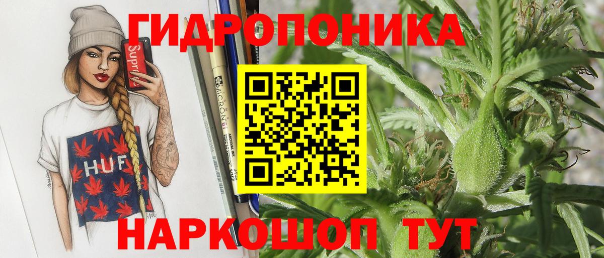 Бошки марихуана Bruce Banner  Марихуана индика  Бошки Шишки план  Калач-на-Дону  Вход с VPN 